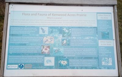Flora and Fauna of Kenwood Acres Prairie Marker image. Click for full size.