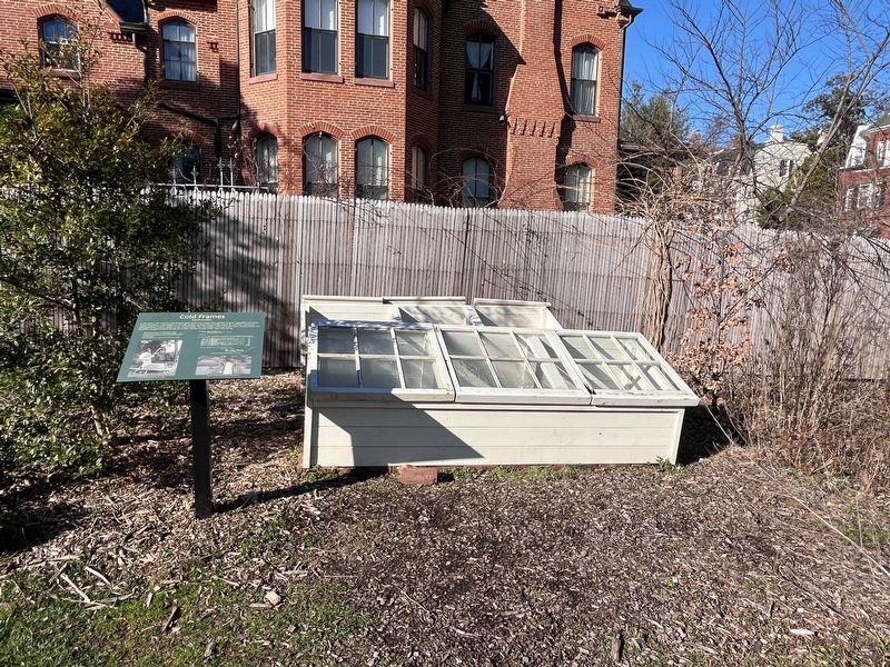 Cold Frames Display. Click for full size. Cold Frames Display image. Click for full size.
