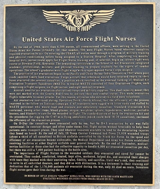 United States Air Force Flight Nurses Marker image. Click for full size.