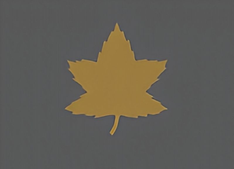 3rd Canadian Division Shoulder Patch image. Click for full size.