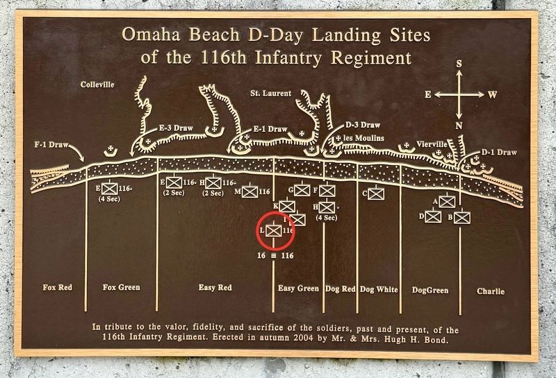 Company L, 116th Infantry Regiment image. Click for full size.