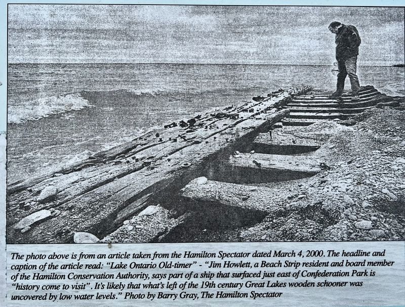 The Shipwrecks of Confederation Park marker illustration detail. Click for full size. The Shipwrecks of Confederation Park marker illustration detail image. Click for full size.