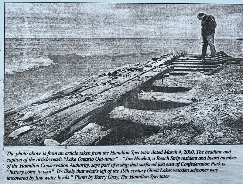 The Shipwrecks of Confederation Park marker illustration detail image. Click for full size.