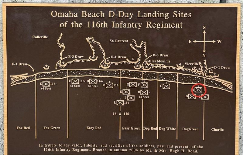 Company A, 116th Infantry Regiment. Click for full size. Company A, 116th Infantry Regiment image. Click for full size.