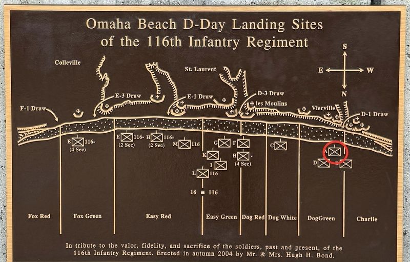 Company A, 116th Infantry Regiment image. Click for full size.