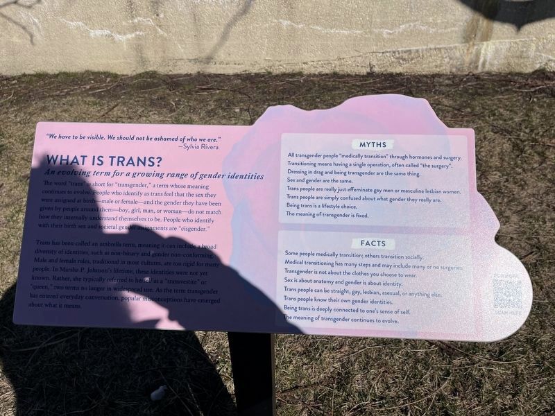 What Is Trans? Marker. Click for full size. What Is Trans? Marker image. Click for full size.