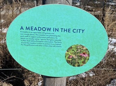 A Meadow in the City Marker image. Click for full size.