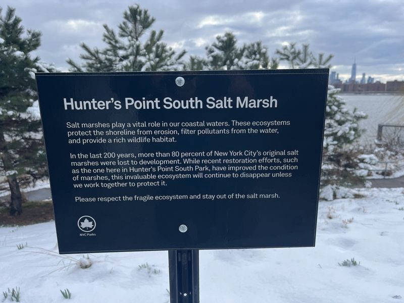 Hunter's Point South Salt Marsh Marker image. Click for full size.