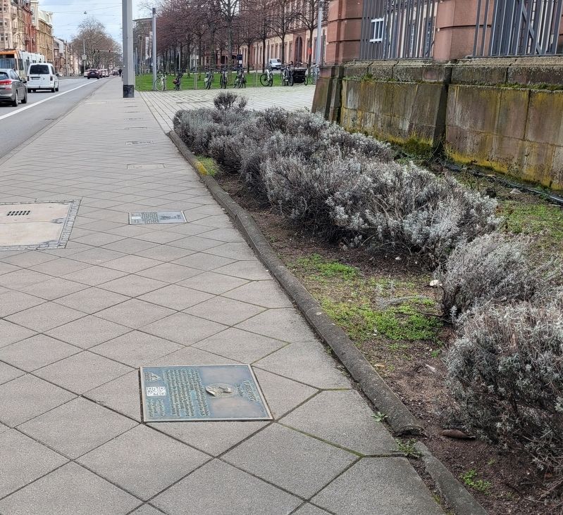 The Nobel Prize for Medicine Marker is located on the sidewalk. Click for full size. The Nobel Prize for Medicine Marker is located on the sidewalk image. Click for full size.