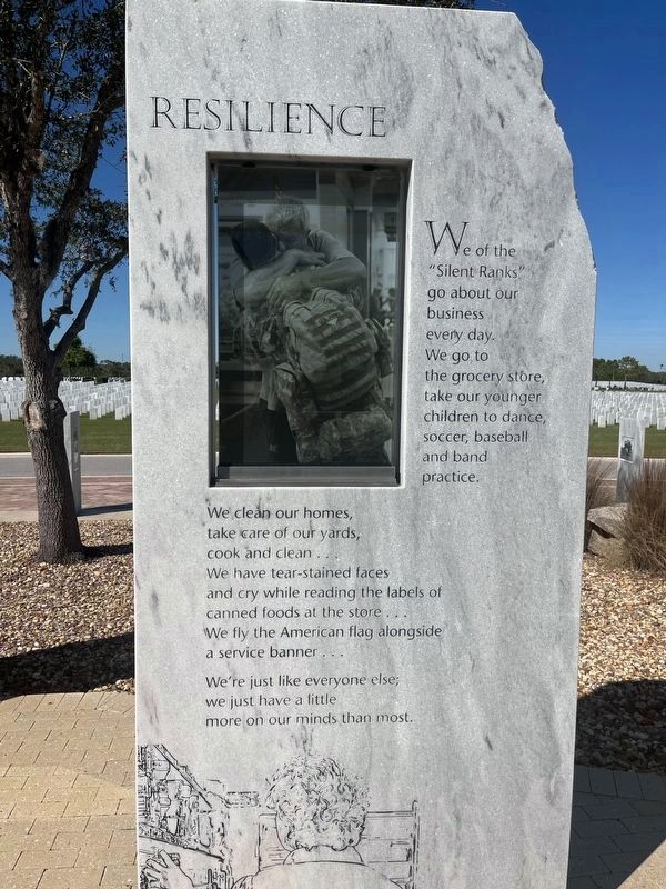 Resilience tablet image. Click for full size.