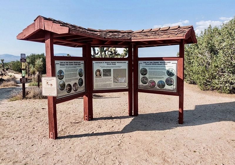 Ripley Desert Woodland Marker. Click for full size. Ripley Desert Woodland Marker image. Click for full size.