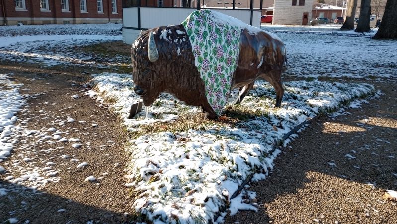 "Bison-tennial" Public Art Project. Click for full size. "Bison-tennial" Public Art Project image. Click for full size.
