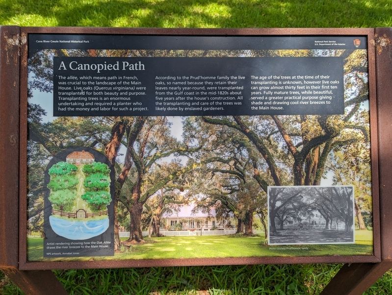 A Canopied Path Marker image. Click for full size.