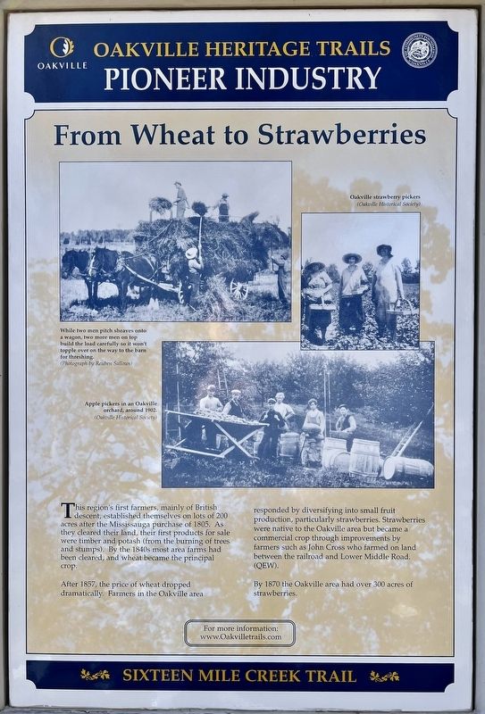 From Wheat to Strawberries Marker image. Click for full size.