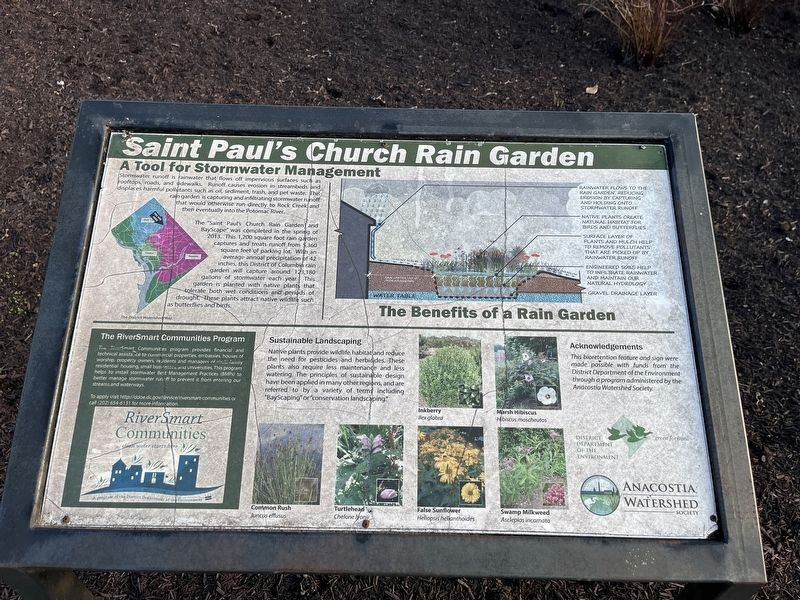 Saint Paul's Church Rain Garden Marker image. Click for full size.