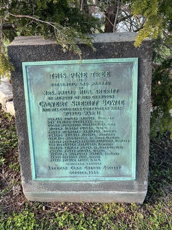 This Pine Tree Memorial image. Click for full size.