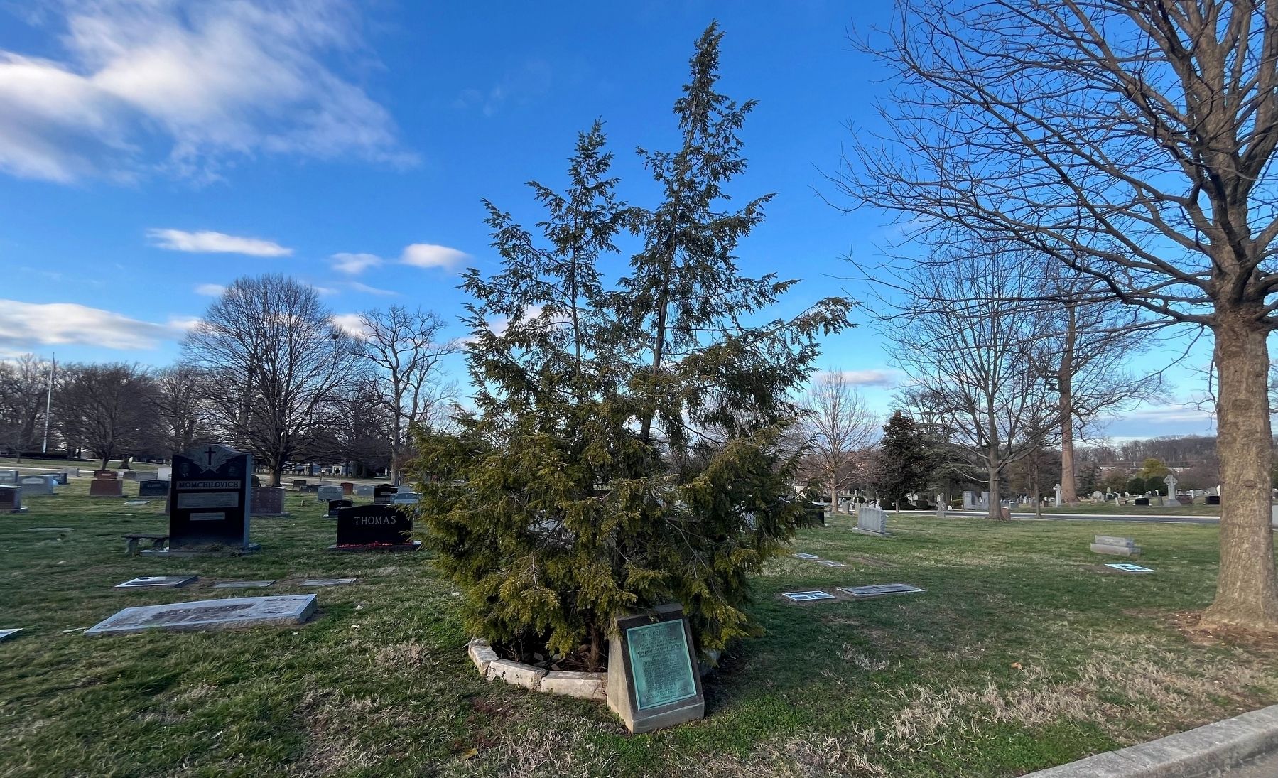 This Pine Tree Memorial in Rock Creek Cemetery image. Click for full size.
