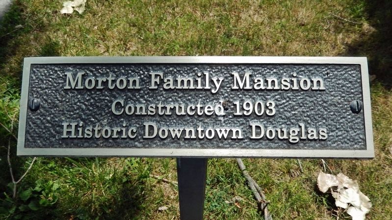 Historic Downtown Douglas Marker image. Click for full size.