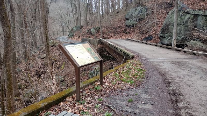Nuttallburg and Short Creek Marker image. Click for full size.