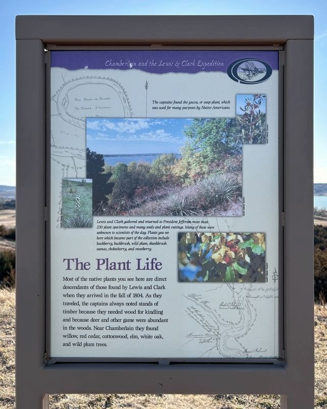 The Plant Life Marker image. Click for full size.