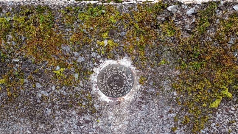 Benchmark on Water Tank Remnants image. Click for full size.
