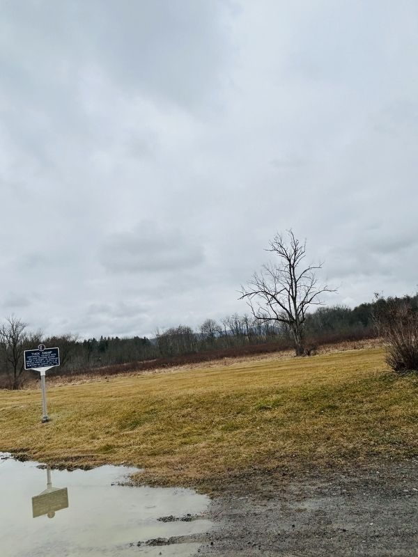 Thick Swamp Marker. Click for full size. Thick Swamp Marker image. Click for full size.