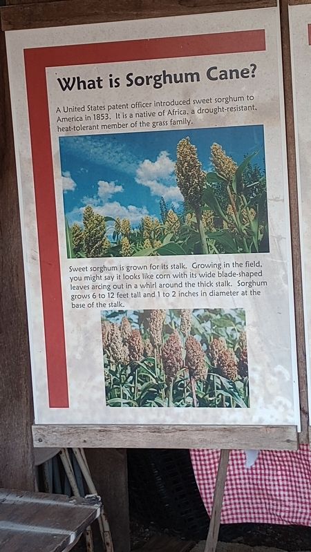 Sorghum Cane Marker image. Click for full size.