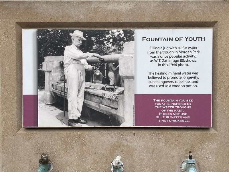 Fountain of Youth Marker image. Click for full size.