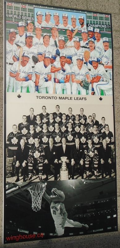 Historic Toronto Sports Team Photos image. Click for full size.