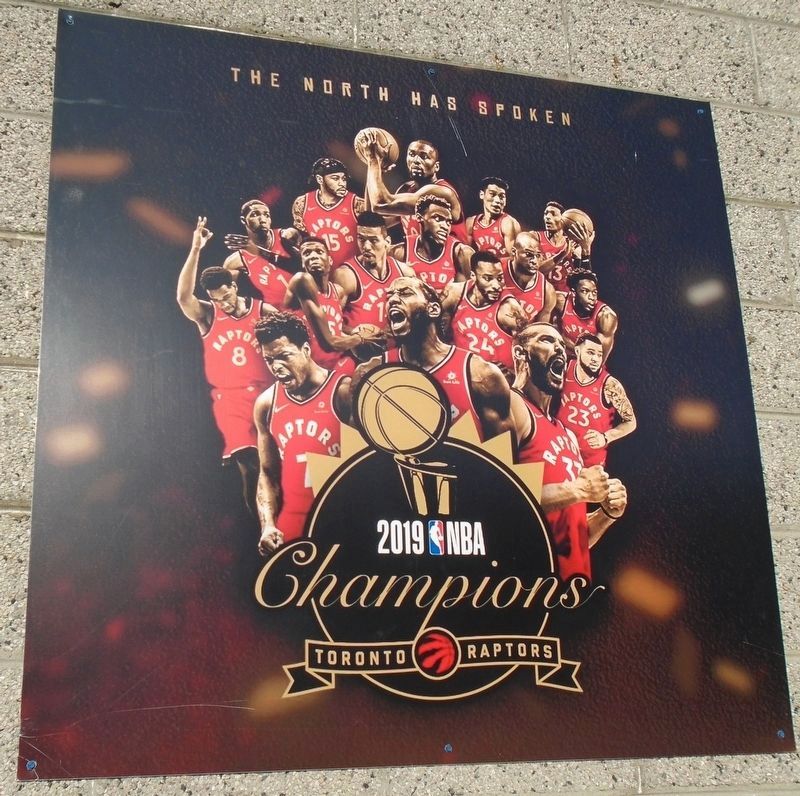 2019 NBA Champion Toronto Raptors Photo image. Click for full size.