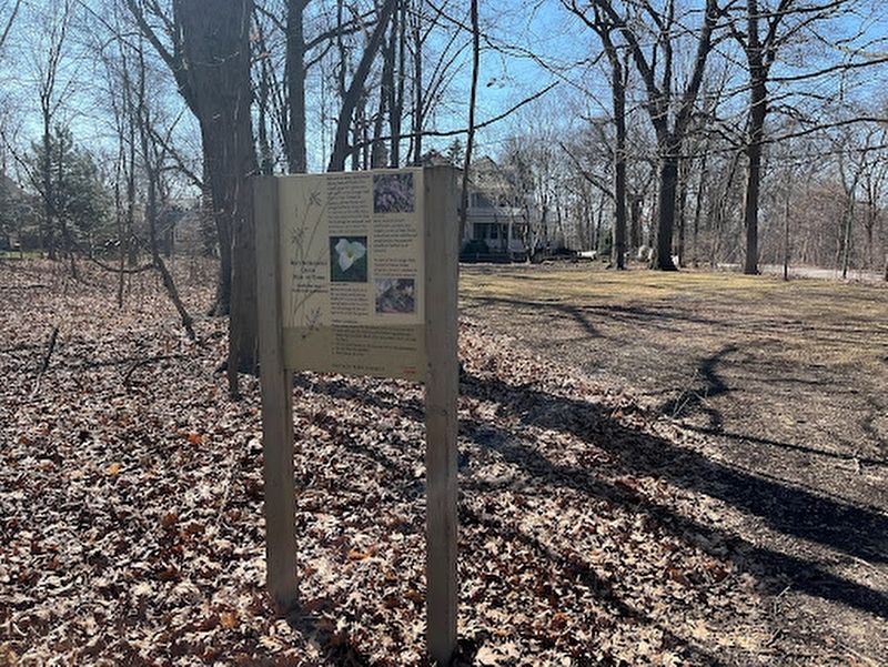 Mary Berkemeier Quinn Park-of-Trees Marker. Click for full size. Mary Berkemeier Quinn Park-of-Trees Marker image. Click for full size.