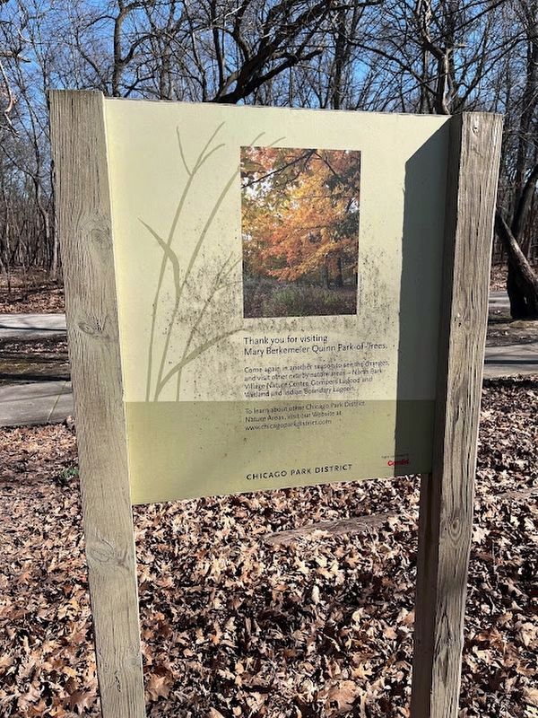 Mary Berkemeier Quinn Park-of-Trees Marker (rear side). Click for full size. Mary Berkemeier Quinn Park-of-Trees Marker (rear side) image. Click for full size.