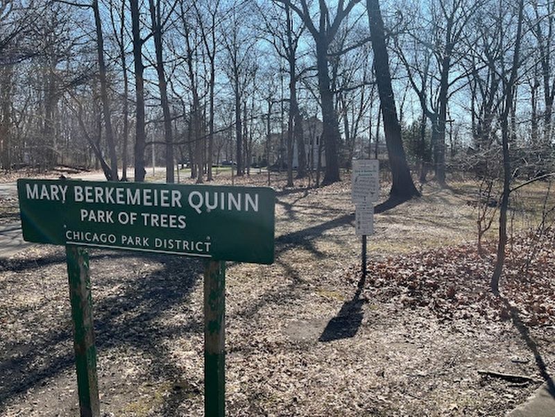 Mary Berkemeier Quinn Park of Trees. Click for full size. Mary Berkemeier Quinn Park of Trees image. Click for full size.
