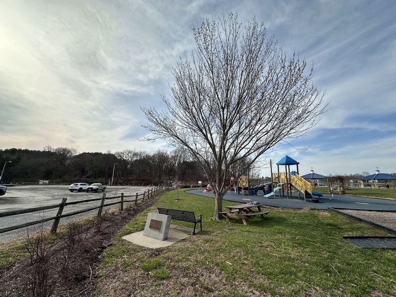 Liberty Tree Memorial and Tree image. Click for full size.