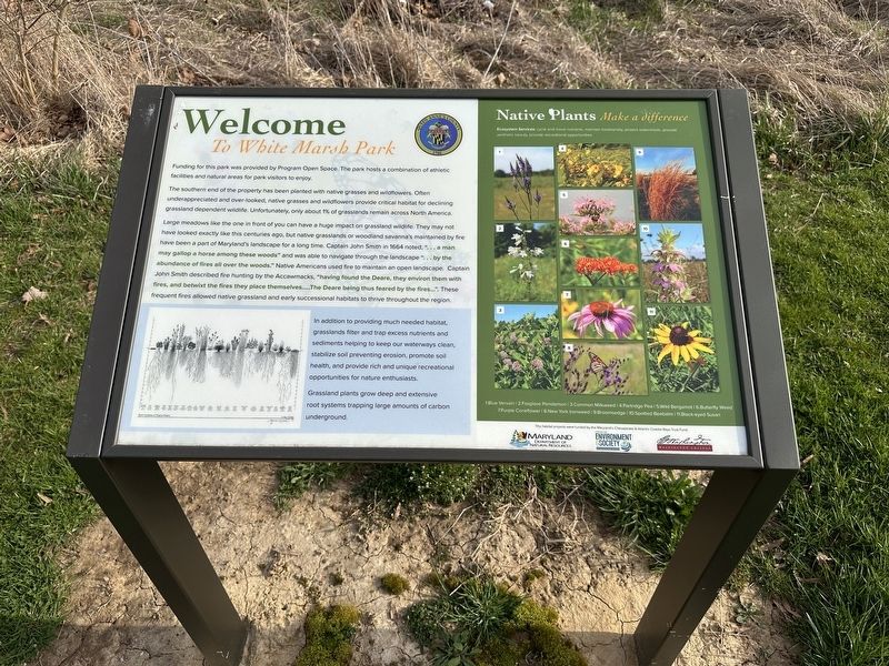 Welcome to White Marsh Park Marker. Click for full size. Welcome to White Marsh Park Marker image. Click for full size.