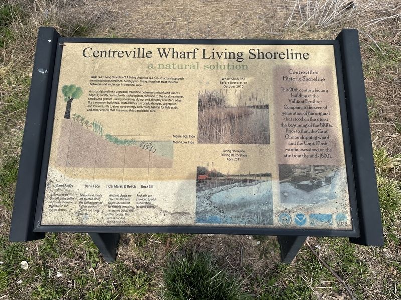Centreville Wharf Living Shoreline Marker. Click for full size. Centreville Wharf Living Shoreline Marker image. Click for full size.