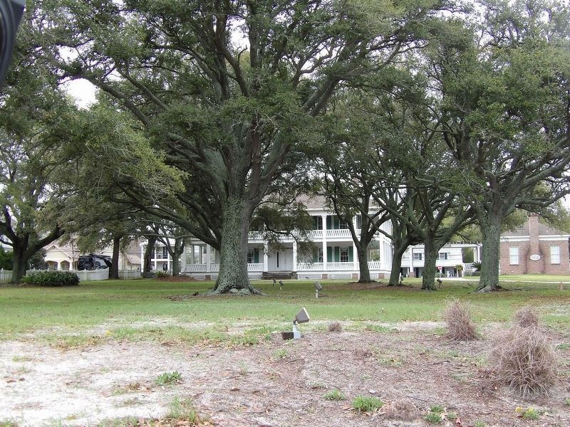 Grass Lawn (replica). Click for full size. Grass Lawn (replica) image. Click for full size.