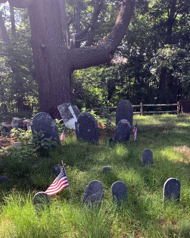 Woodbridge and Jenkins Family Cemetery Marker. Click for full size. Woodbridge and Jenkins Family Cemetery Marker image. Click for full size.