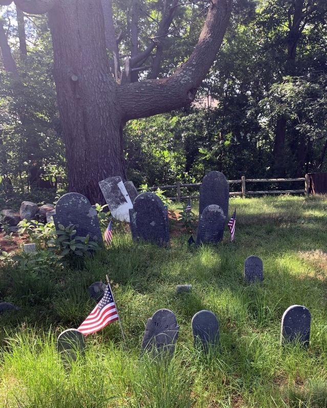Woodbridge and Jenkins Family Cemetery Marker image. Click for full size.