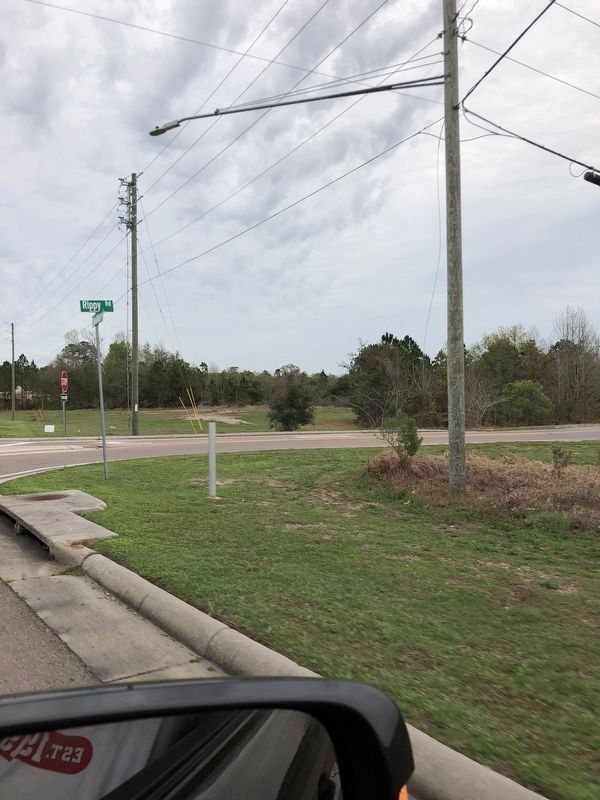 Turkey Creek Community Marker damaged by airport landscapers.. Click for full size. Turkey Creek Community Marker damaged by airport landscapers. image. Click for full size.