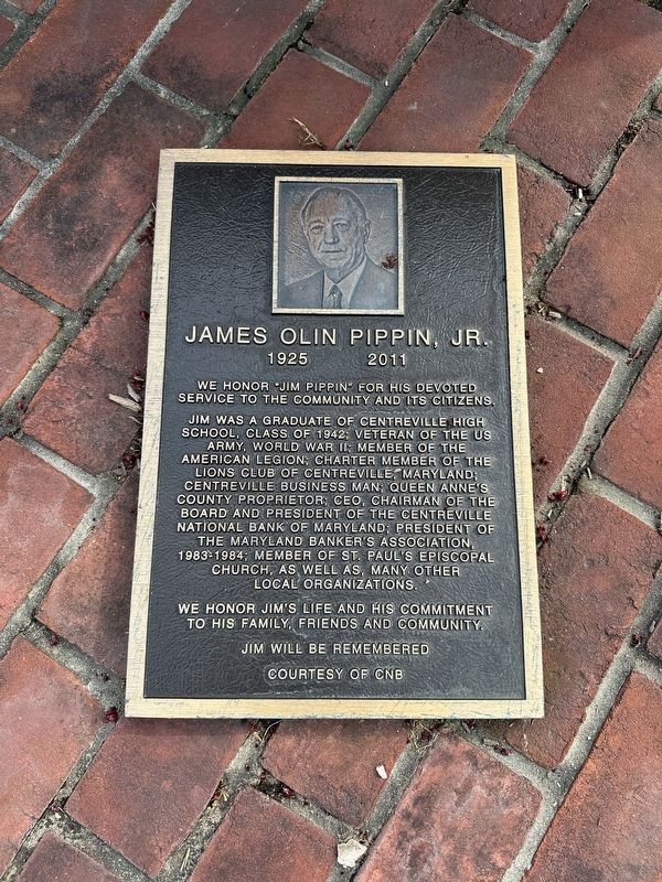 The Lions Club of Centreville POW - MIA Monument James Olin Pippin, Jr. Plaque image. Click for full size.