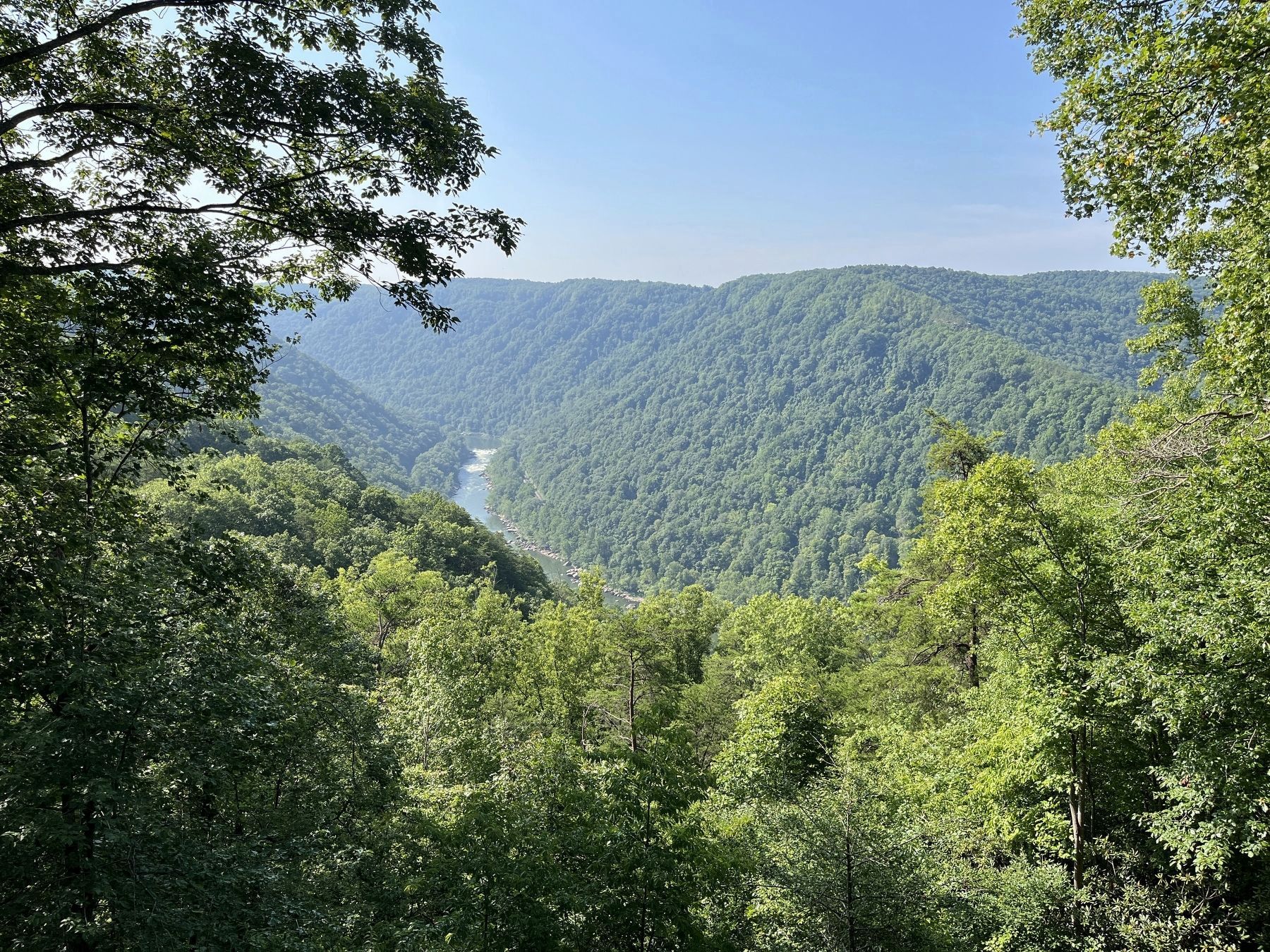 View, looking south, of the gorge from the overlook image. Click for full size.