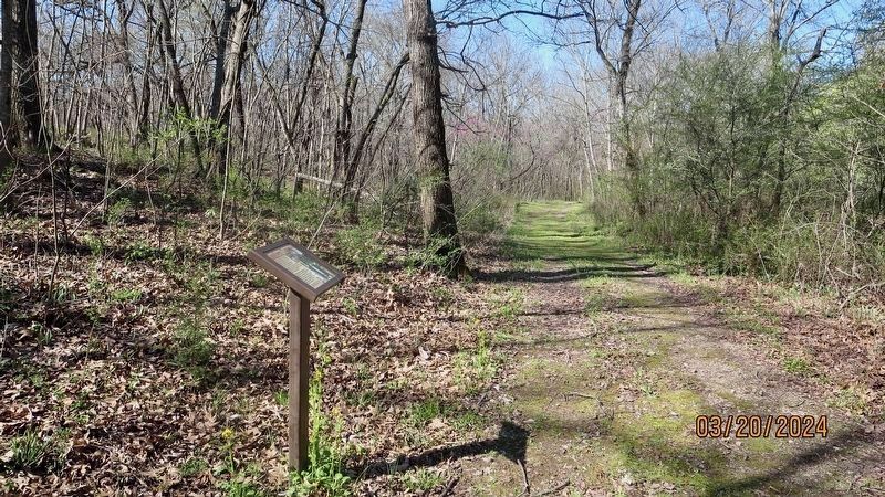 Looking west from the Southern Camps Marker. image. Click for full size.