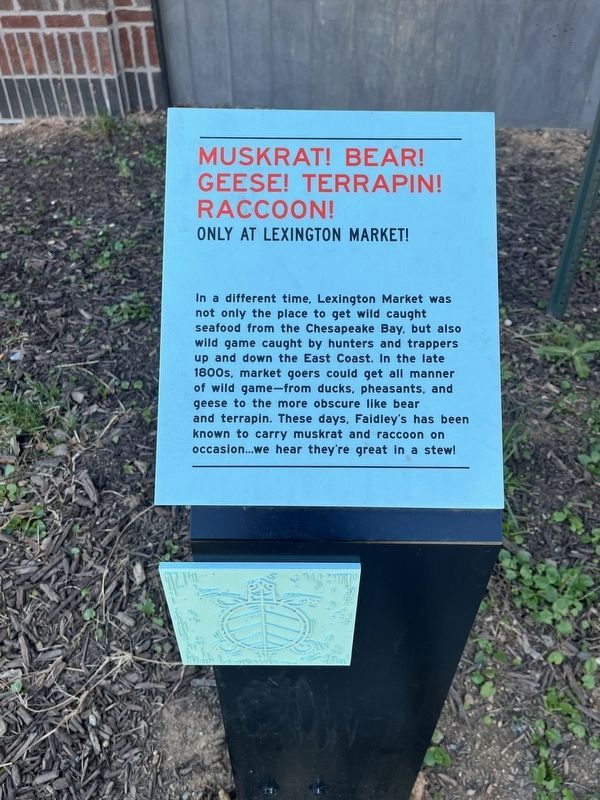 Muskrat! Bear! Geese! Terrapin! Raccoon! Only at Lexington Market! Marker. Click for full size. Muskrat! Bear! Geese! Terrapin! Raccoon! Only at Lexington Market! Marker image. Click for full size.