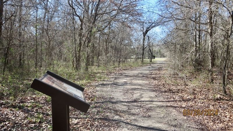 View from marker looking west along Trail Four. image. Click for full size.