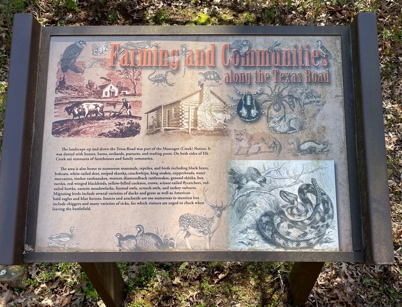 Farming and Communities along the Texas Road Marker image. Click for full size.