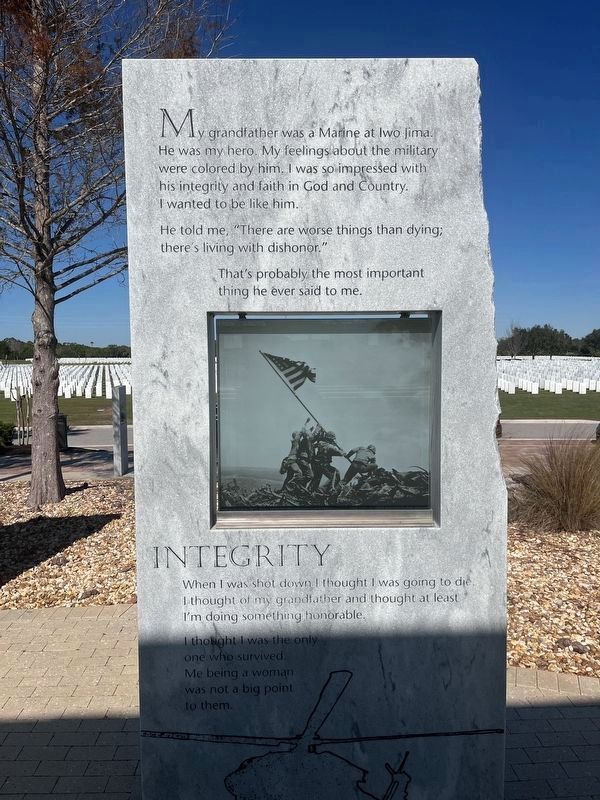 Integrity tablet image. Click for full size.