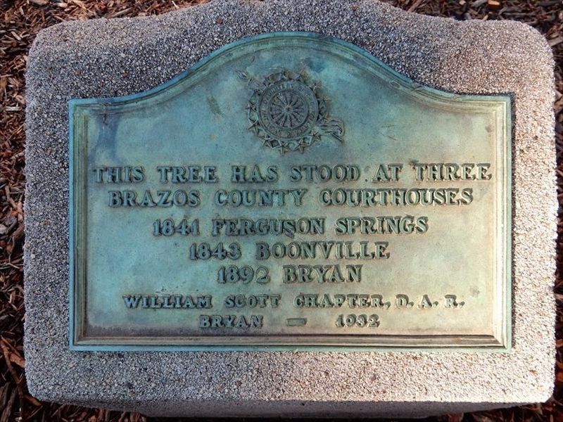 Courthouse Cedar Marker. Click for full size. Courthouse Cedar Marker image. Click for full size.