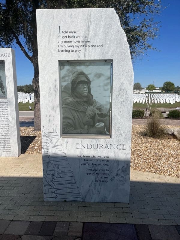 Endurance tablet image. Click for full size.