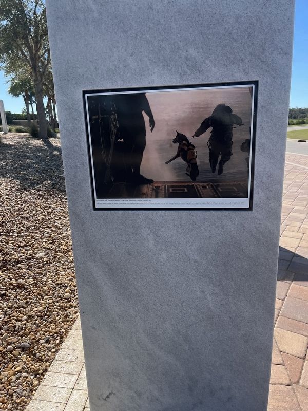 Military Memorial image. Click for full size.